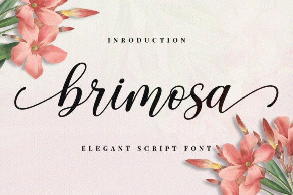 Brimosa Font: An Editorial Designer's Choice for Refined Projects