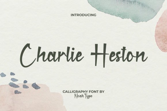 Choosing a Font for Campaign Clarity: My Experience with Charlie Heston