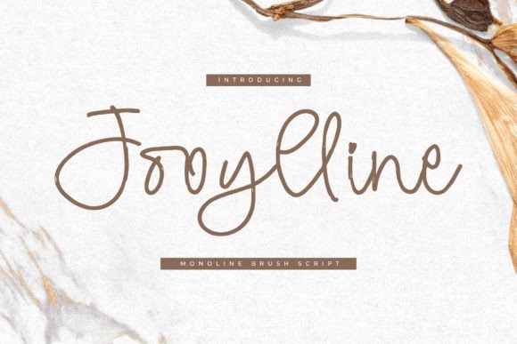 How the Jooylline Font Can Help Your Business Look Professional