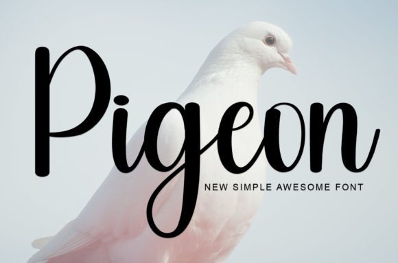 Pigeon: A Modern Script Font for Digital Engagement