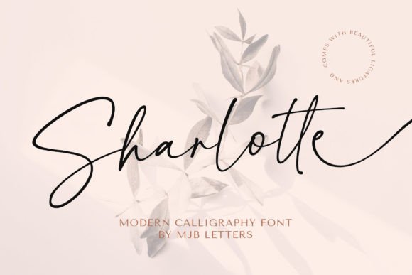 Using Sharlotte Font to Build a More Polished Brand Experience